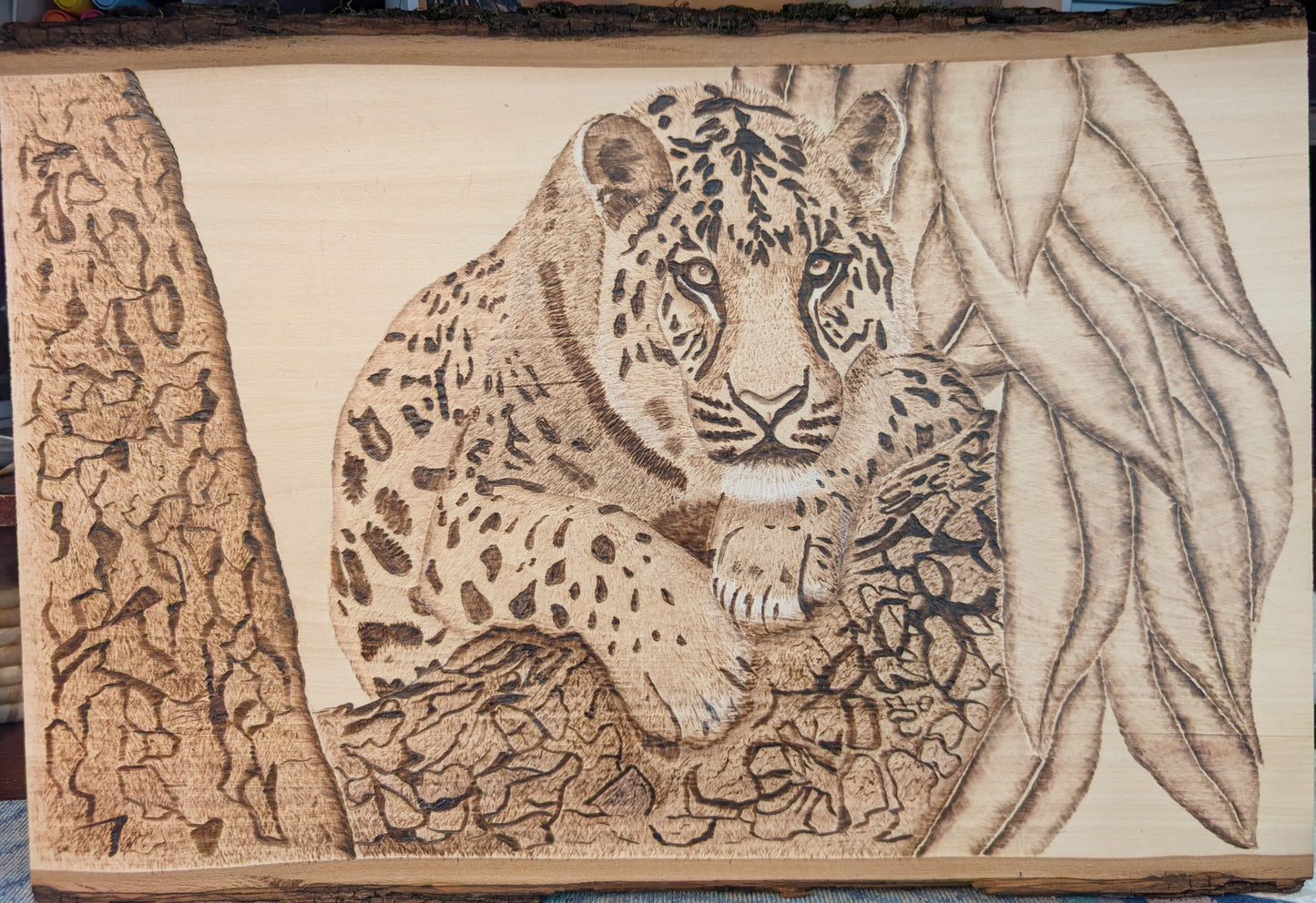 Leopard