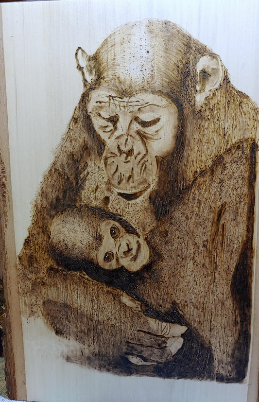 Chimpanzees