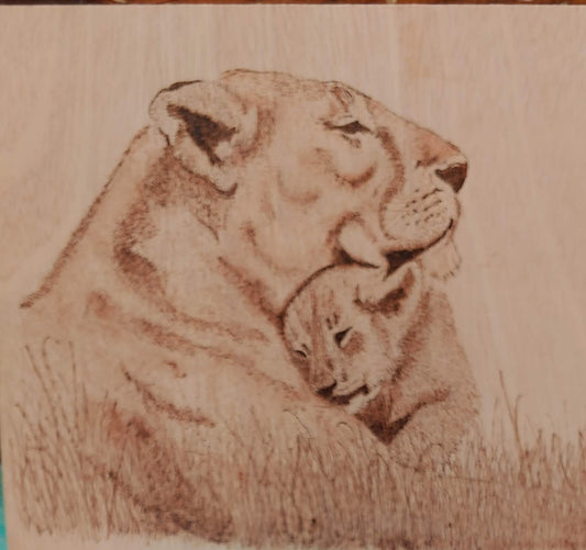 Lions