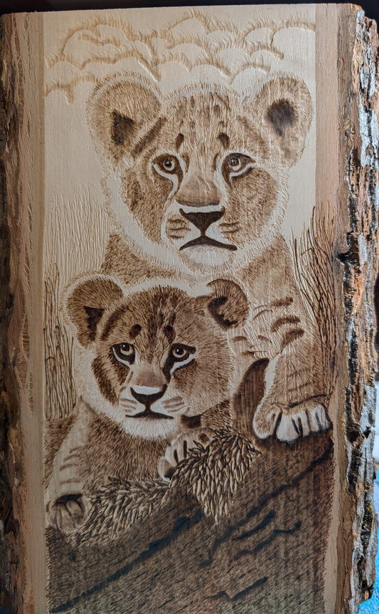 Baby tigers